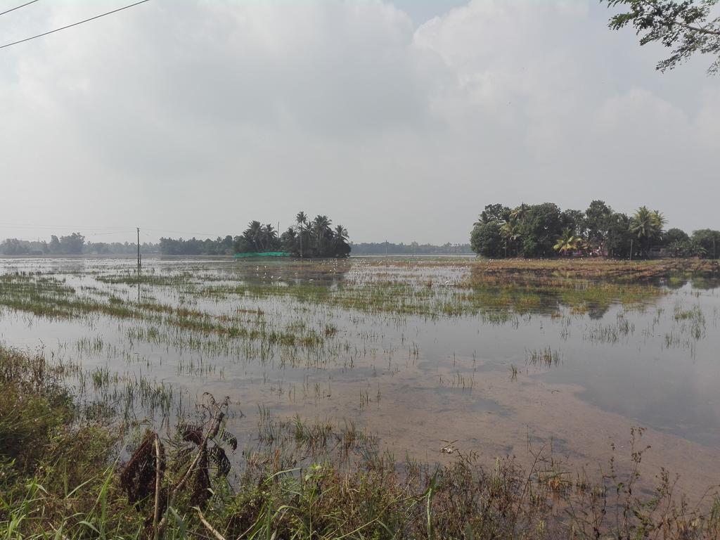 Marari Gowri Beach Villas Mararikulam Exteriör bild